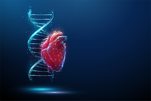 heart genes concept